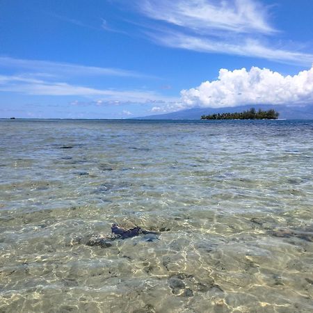 Bungalow Vue Lagon 180 Degre, La Maison Bleue Moorea Kültér fotó
