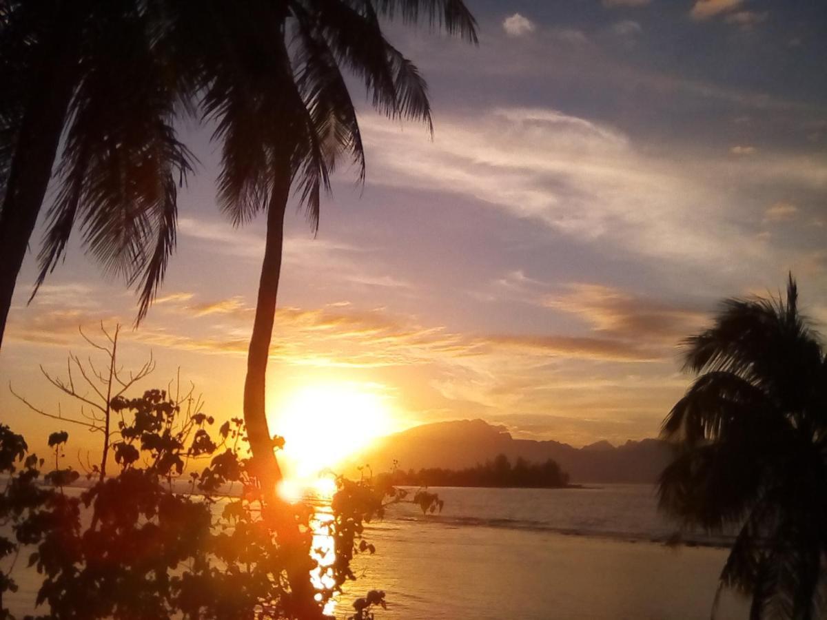 Bungalow Vue Lagon 180 Degre, La Maison Bleue Moorea Kültér fotó