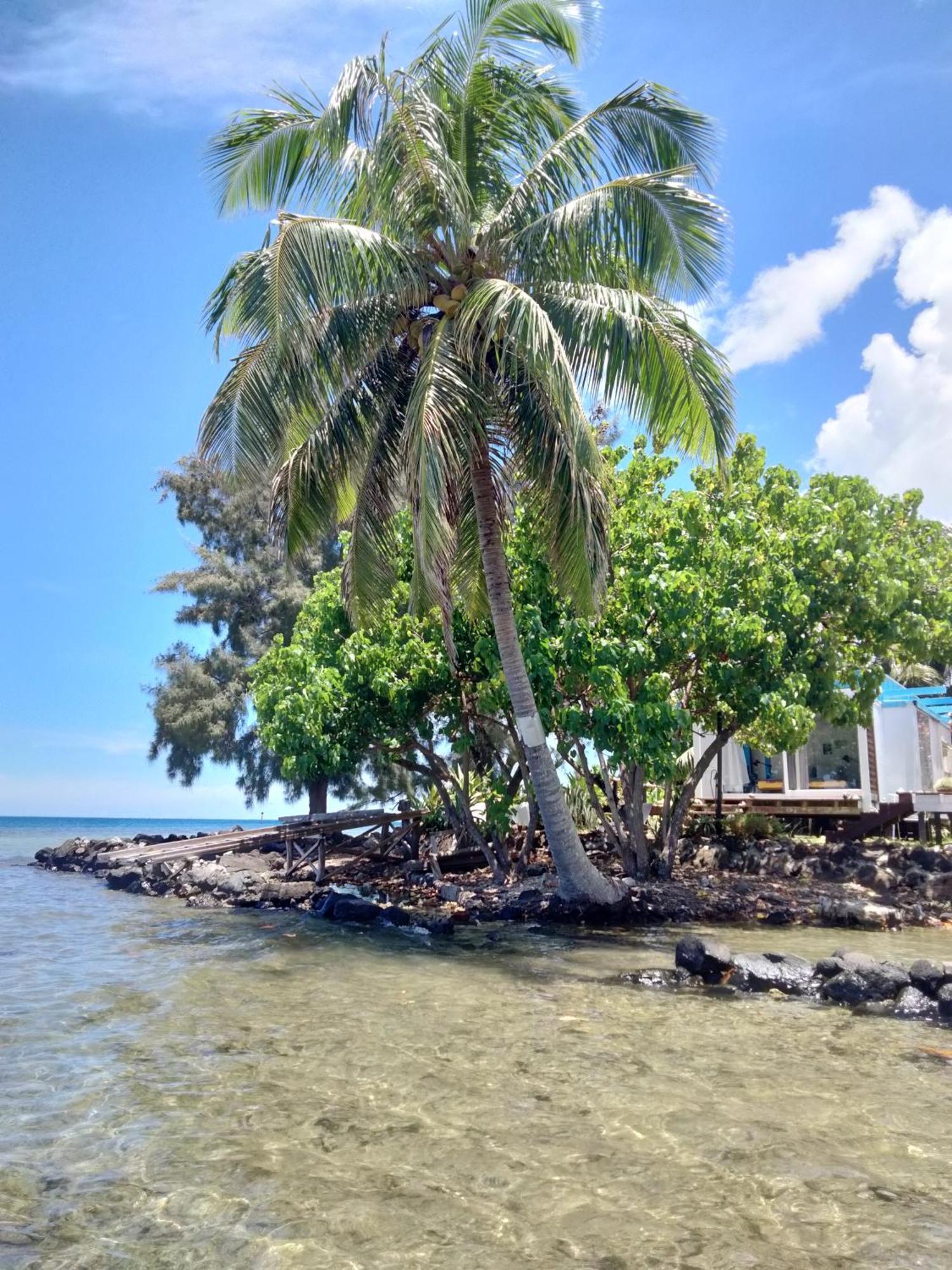 Bungalow Vue Lagon 180 Degre, La Maison Bleue Moorea Kültér fotó