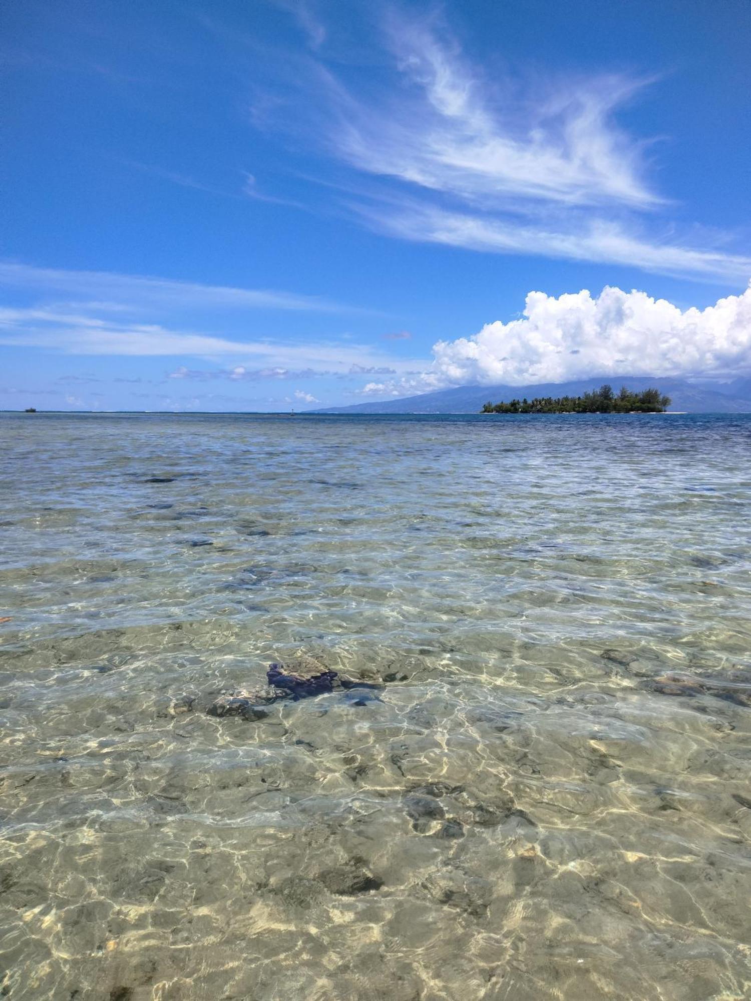 Bungalow Vue Lagon 180 Degre, La Maison Bleue Moorea Kültér fotó